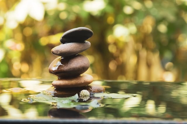 WELLNESS PROGAM